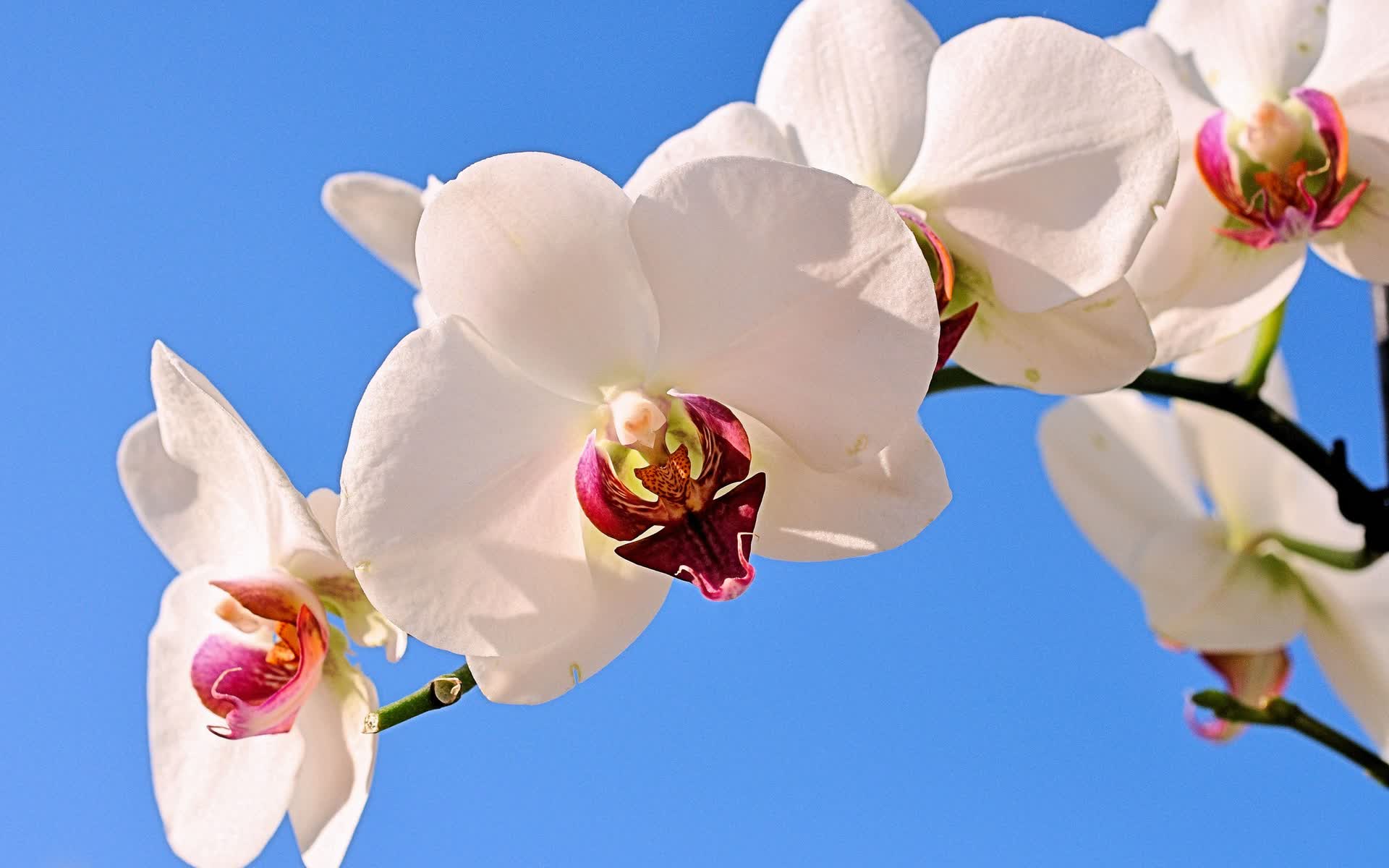 世界游泳接力技术统计平台国际合作项目签署，游泳接力赛程